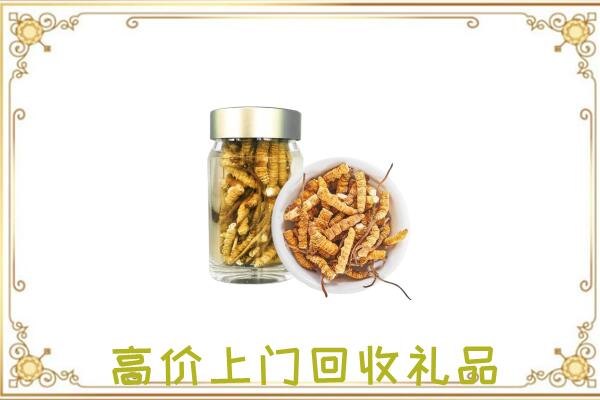 漯河周边回收虫草